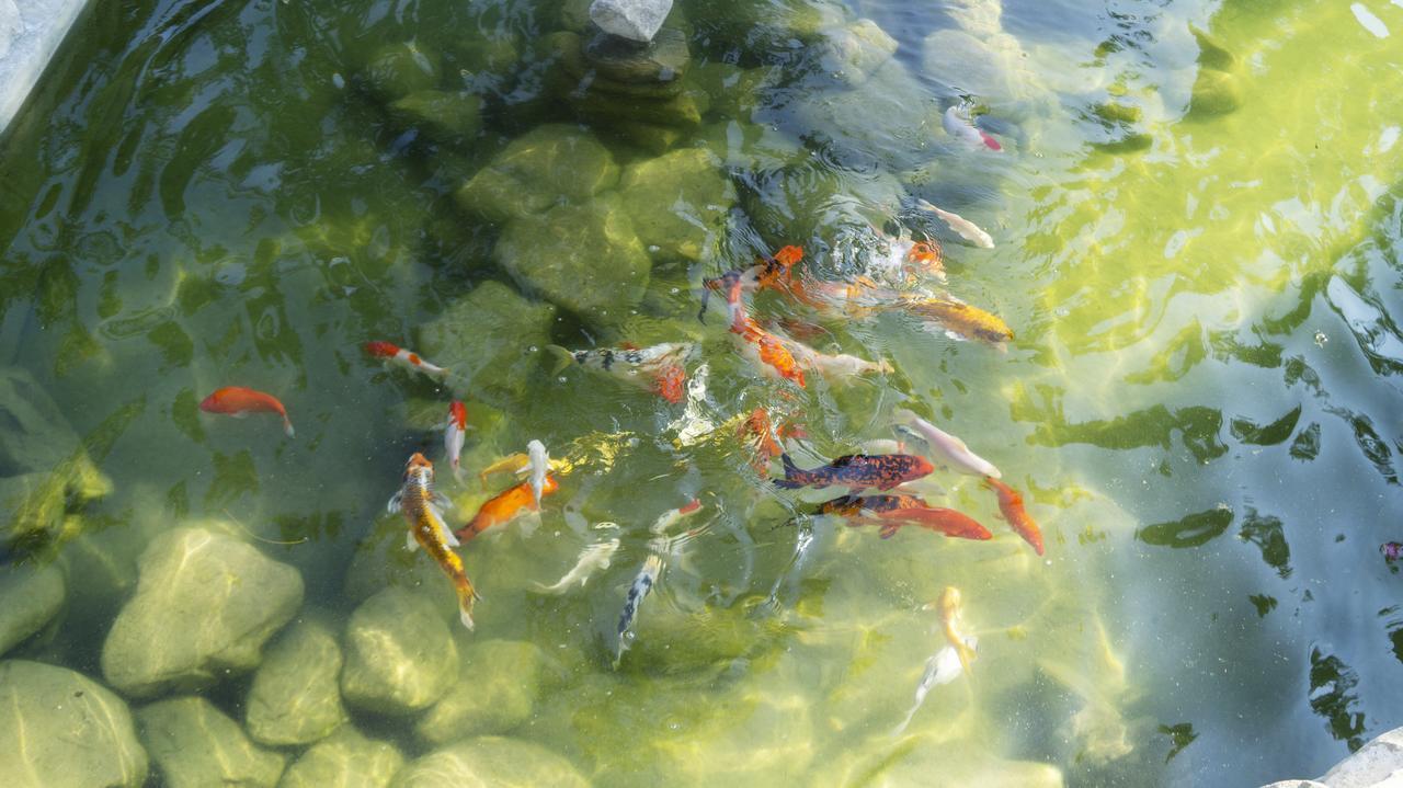 Pisces Garden B&B Checheng Buitenkant foto