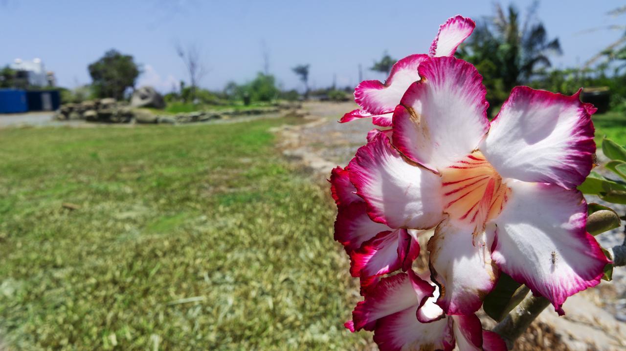 Pisces Garden B&B Checheng Buitenkant foto