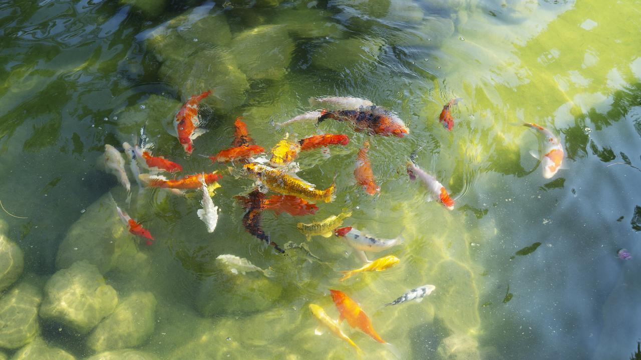 Pisces Garden B&B Checheng Buitenkant foto